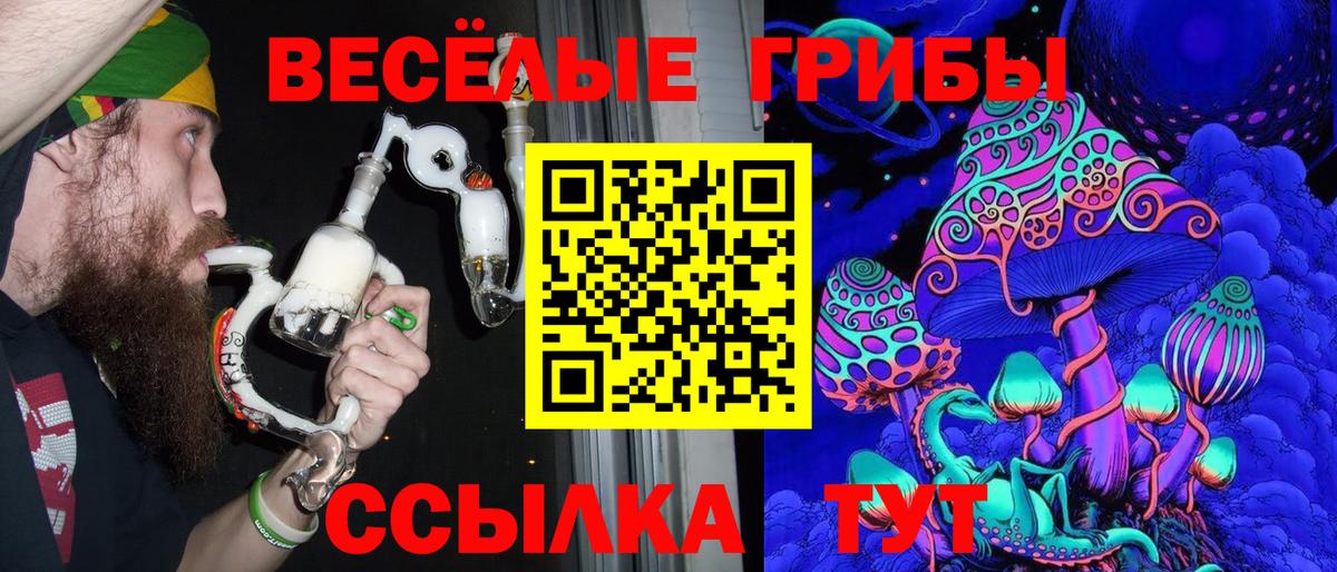 Псилоцибиновые грибы мицелий  купить наркоту  Нарьян-Мар  Галлюциногенные грибы прущие грибы  Вход с VPN 