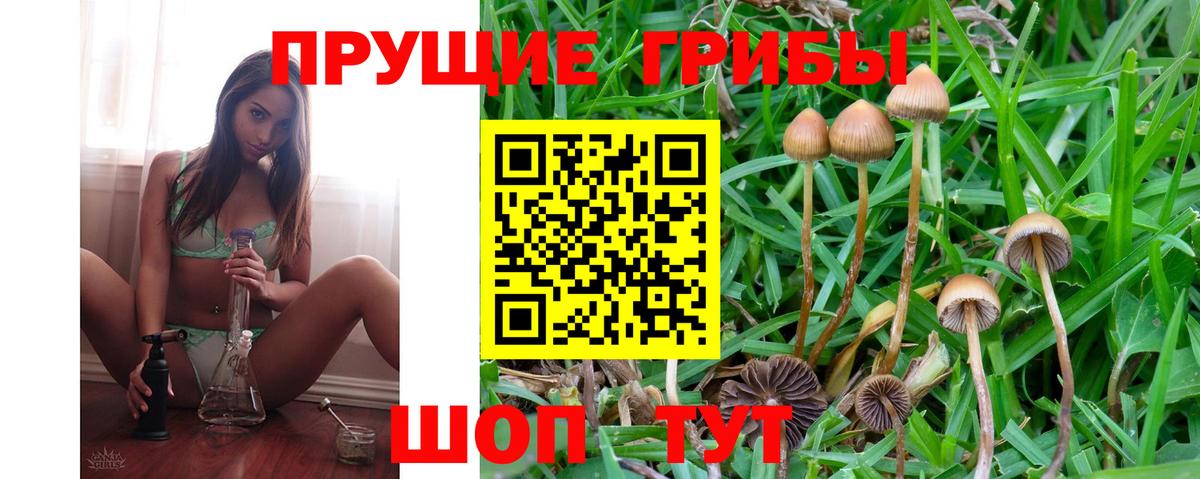 Псилоцибиновые грибы Нарьян-Мар